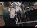 Anuskatzz gets tied up in shibari with cute tattoo girl from Lily Lu for Dirty dreaz BDSM rope play