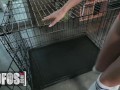 MOFOS - Juicy Alex Coal Presents Herself as A Birthday Gift Inside a Dog Cage For JMac To Fuck With