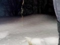 Desperation highway pee in snow in freezing temperatures