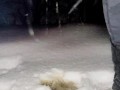 Desperation highway pee in snow in freezing temperatures