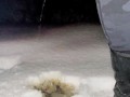 Desperation highway pee in snow in freezing temperatures