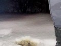 Desperation highway pee in snow in freezing temperatures