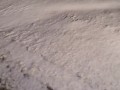 Desperation highway pee in snow in freezing temperatures