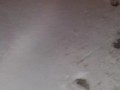 Desperation highway pee in snow in freezing temperatures