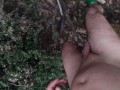 naked in the wood, walk in the brambles near road