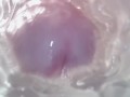 Sweet creampie in vagina. Super internal camera
