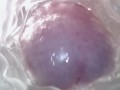 Sweet creampie in vagina. Super internal camera