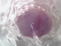 Sweet creampie in vagina. Super internal camera