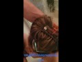 Sucking hubby's cock in the shower