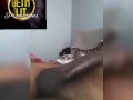 Jumping Jacks Dick Gymnastics