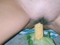 He Cumshots me with a Corn Cob in my tight Pussy