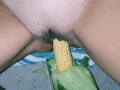 He Cumshots me with a Corn Cob in my tight Pussy