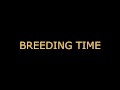 Breeding time for your CUNT (audo roleplay) BREEDING KINK/FETISH creampie dirty talking