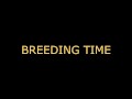 Breeding time for your CUNT (audo roleplay) BREEDING KINK/FETISH creampie dirty talking