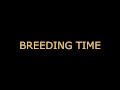 Breeding time for your CUNT (audo roleplay) BREEDING KINK/FETISH creampie dirty talking