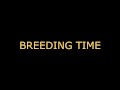 Breeding time for your CUNT (audo roleplay) BREEDING KINK/FETISH creampie dirty talking