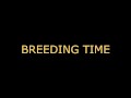 Breeding time for your CUNT (audo roleplay) BREEDING KINK/FETISH creampie dirty talking