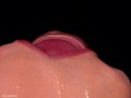 CLOSE UP: Best FREE Sloppy Mouth for your CUM! Use my CUM DUMPSTER! HOT Sucking Cock ASMR - BLOWJOB