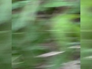 Slutty Black Girl Gets Fucked Outside On The Trail