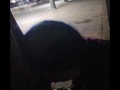 4k johnholmesjunior caught gettin public blowjob in busy vancouver parking lot