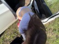 Рискованный секс с красоткой. Трахнул в лесу у машины и кончил на жопу