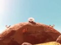 Movie Edit