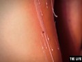 Watch her drip hot candle wax on her pussy as she masturbates
