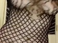 dancing in a sheer fishnet dress- twerking my pawg ass and bouncing my big tits