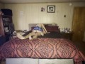 Getting Fucked Senseless While My Mother in Law