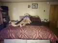 Getting Fucked Senseless While My Mother in Law