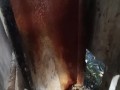 Napoletana fa vedere la figa mentre fa pipì