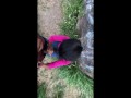 Public fuck in park risky outdoor with sexy panty👙 අම්මෝ ඒ පෑන්ටිය. පාක් ගිහින් කැලේ පැනලා හිකුවා. 