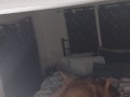 I got caught masturbating and fingering my pussy by my roommate and get fucked in multiple positions