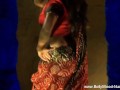 Beautiful And Musical Indian Woman Dances And Strips For Us