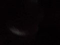 Close up tight asian pussy enjoying BBC
