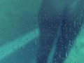 КРАСОТКА моется в душе