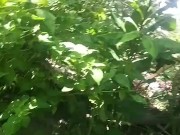 Have no clue as always looks promising tho/ lmao its mi armadilla family yo