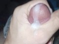 Quiet cum dump