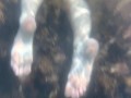 Заснял голую подругу под водой в море