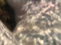 Заснял голую подругу под водой в море