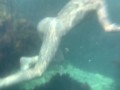Заснял голую подругу под водой в море