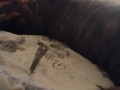 Cute Kitten Waking Up