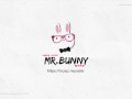 【Mr.Bunny】AYANAMI REI & Romantic Valentine's day