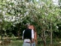 Tied up in a blooming apple tree - RosenlundX - Vertical HD