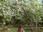 Tied up in a blooming apple tree - RosenlundX - Vertical HD