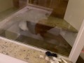 Uma foda com meu amor na hidromassagem (Parte 1)