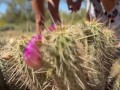 Blooming Bushes Lesbian Fun