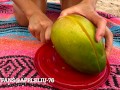 97 slut bikini milf jerk off husband on public beach and eats cum with mango OnlyFans @ Appleliu-76