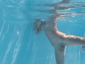 Sexy Hungarian Fernanda Swims With Nude Passion