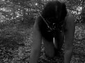 TRAIN MY SLUT TO BE GOOD ON DOG LEASH TOTALLY NAKED IN THE WOODS